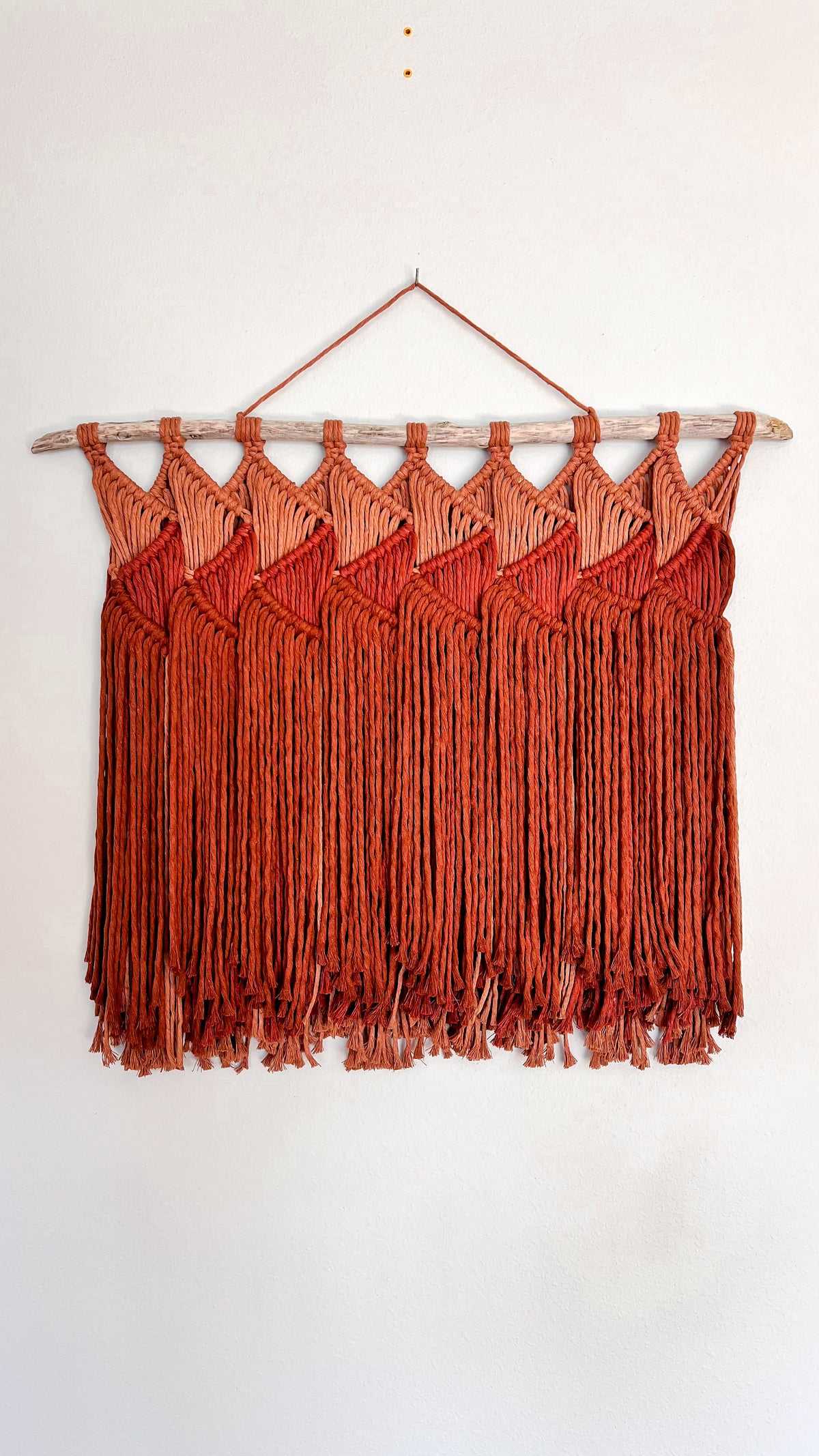 Groove - Macramé Wall Hanging