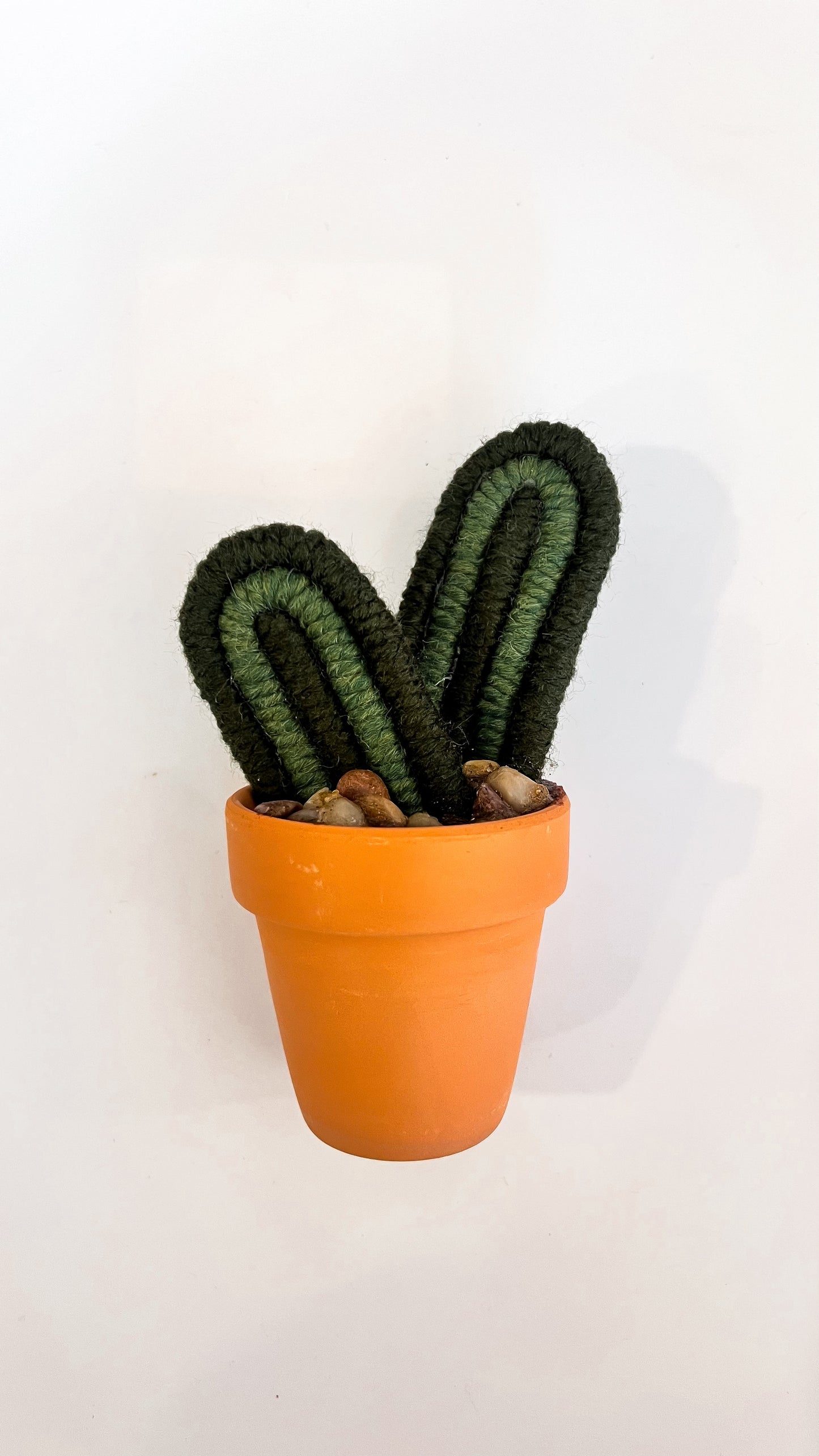 Macrame Cactus