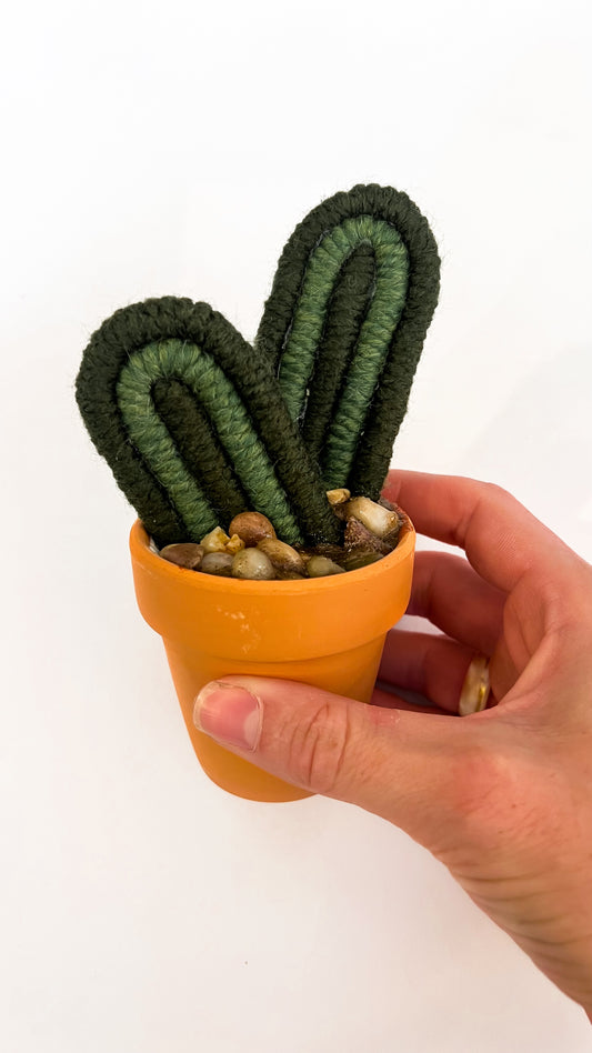 Macrame Cactus