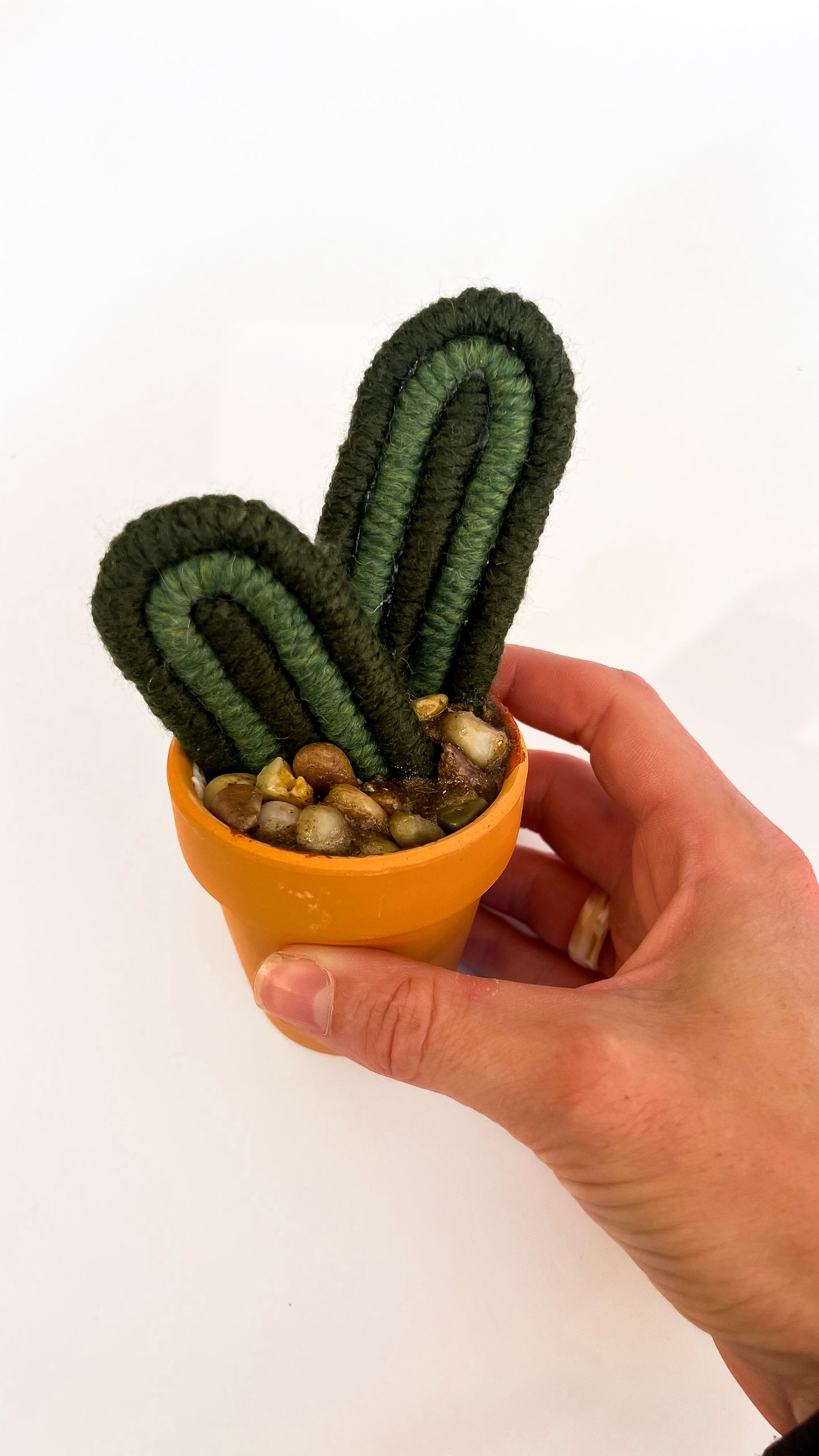 Macrame Cactus