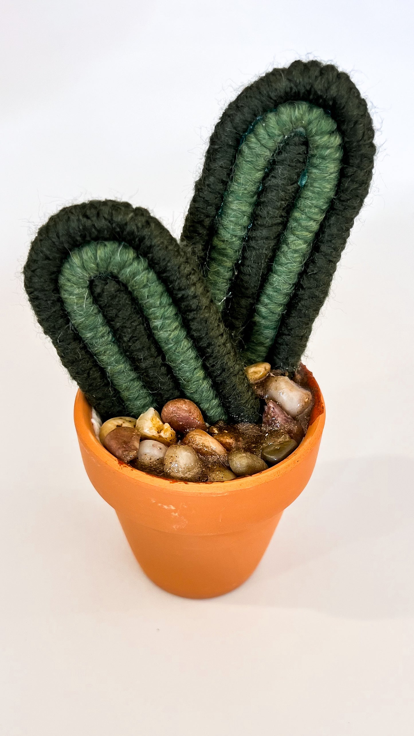 Macrame Cactus