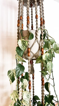wall hanging macrame plant holder 2-Tier Macramé Plant Hanger – Kay and Rose Designs