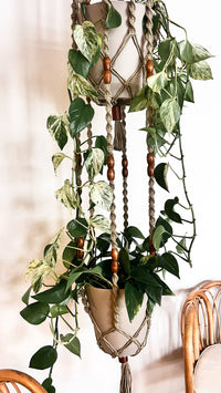 macrame plant hanger 2 tier 2-Tier Macramé Plant Hanger – Kay and Rose Designs