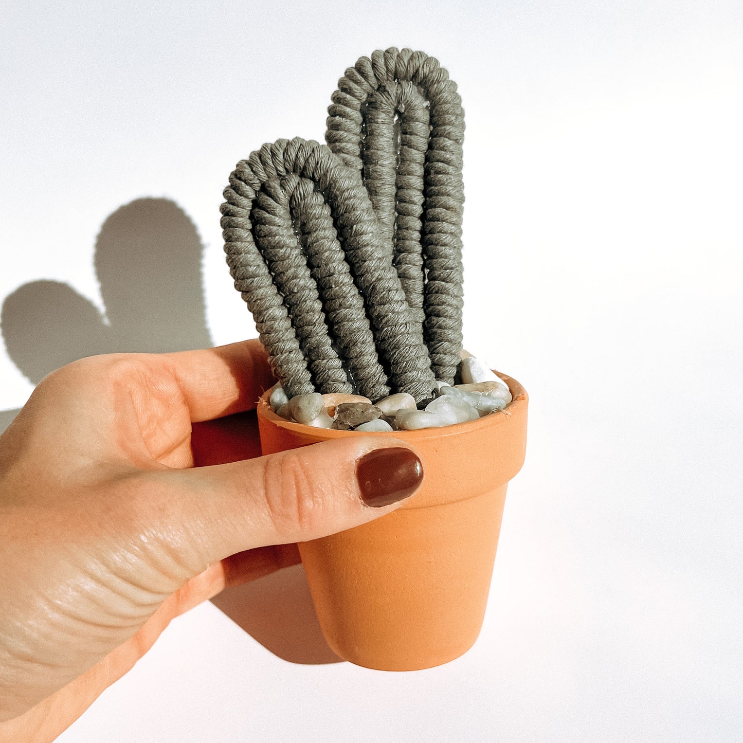 Macramé Cactus