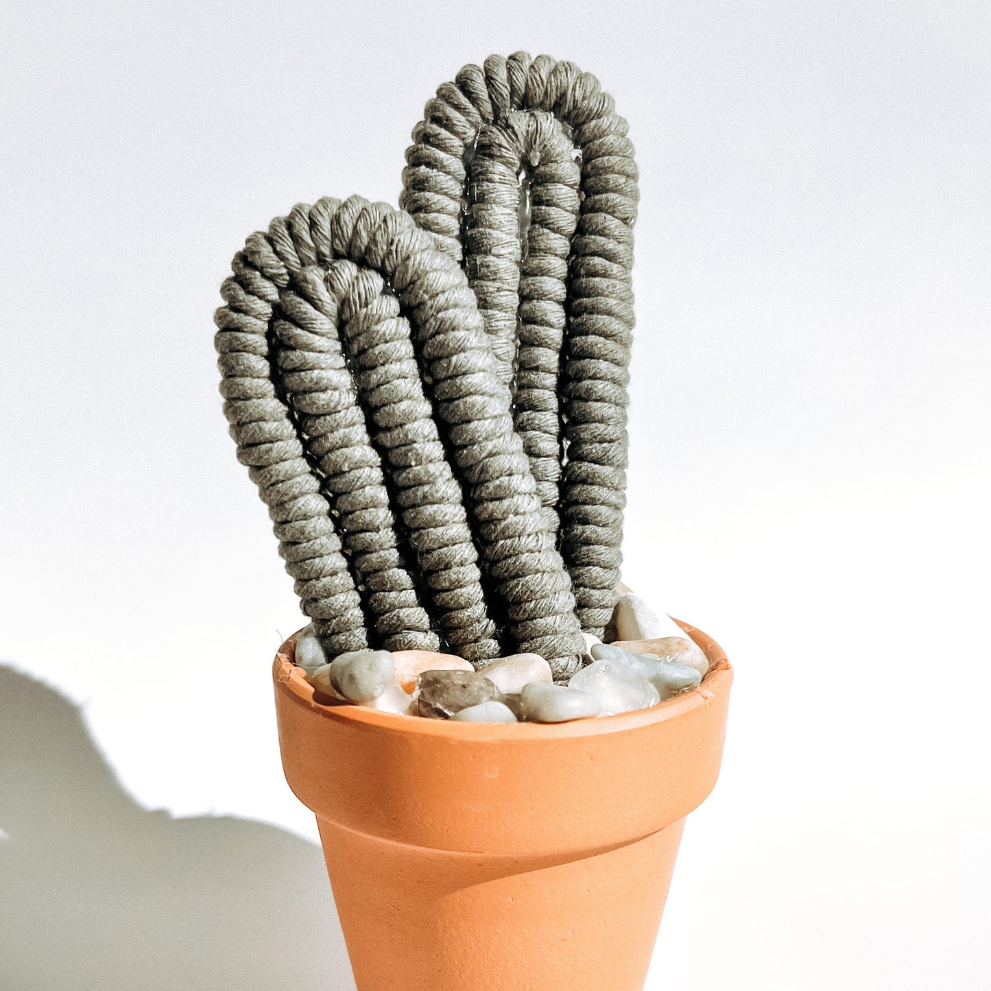 Macramé Cactus
